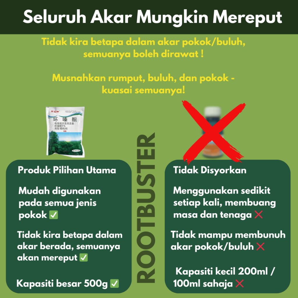 RootBuster – Website Barang Idaman
